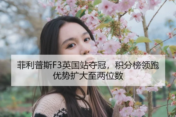fei-li-pu-si-ying-guo-zhan-duo-guan-ji-fen-bang-ling-pao-you-shi-kuo-da-zhi-liang-wei-shu-2-971.jpg