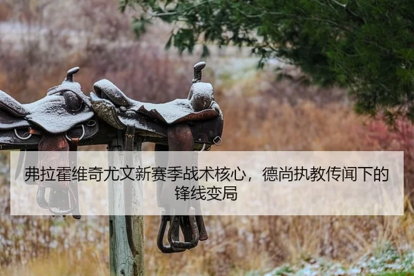 弗拉霍维奇尤文新赛季战术核心，德尚执教传闻下的锋线变局